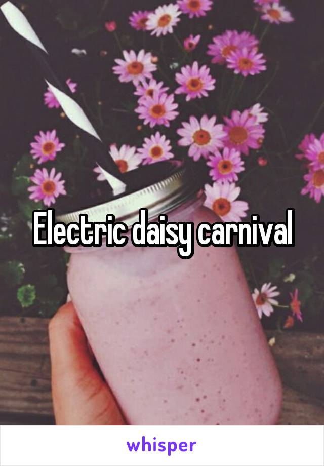 Electric daisy carnival