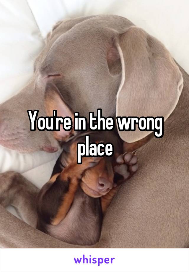 You're in the wrong place