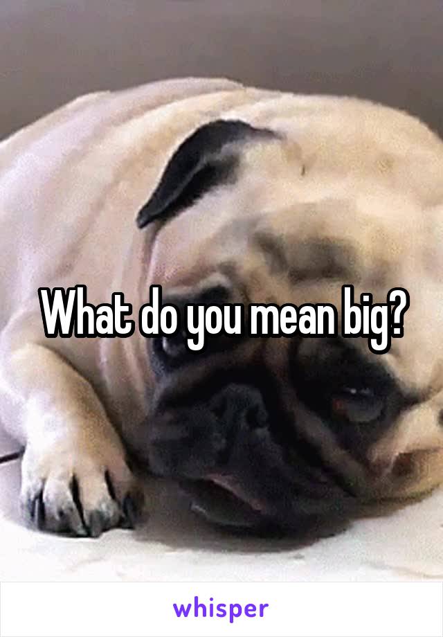 What do you mean big?