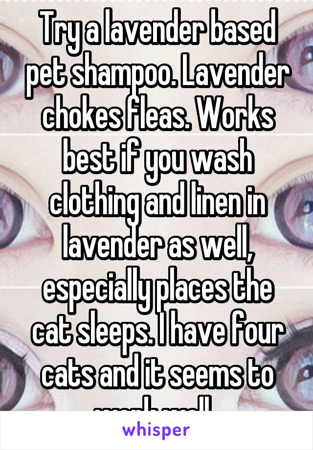 Try a lavender based pet shampoo. Lavender chokes fleas. Works best if you wash clothing and linen in lavender as well, especially places the cat sleeps. I have four cats and it seems to work well. 