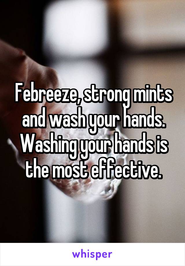 Febreeze, strong mints and wash your hands. Washing your hands is the most effective.