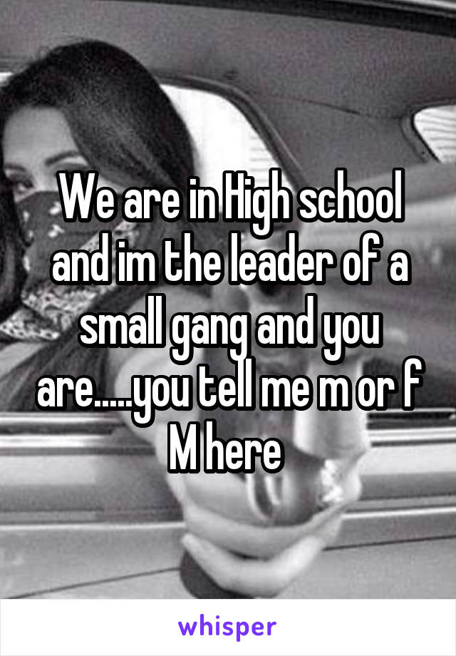 We are in High school and im the leader of a small gang and you are.....you tell me m or f
M here 