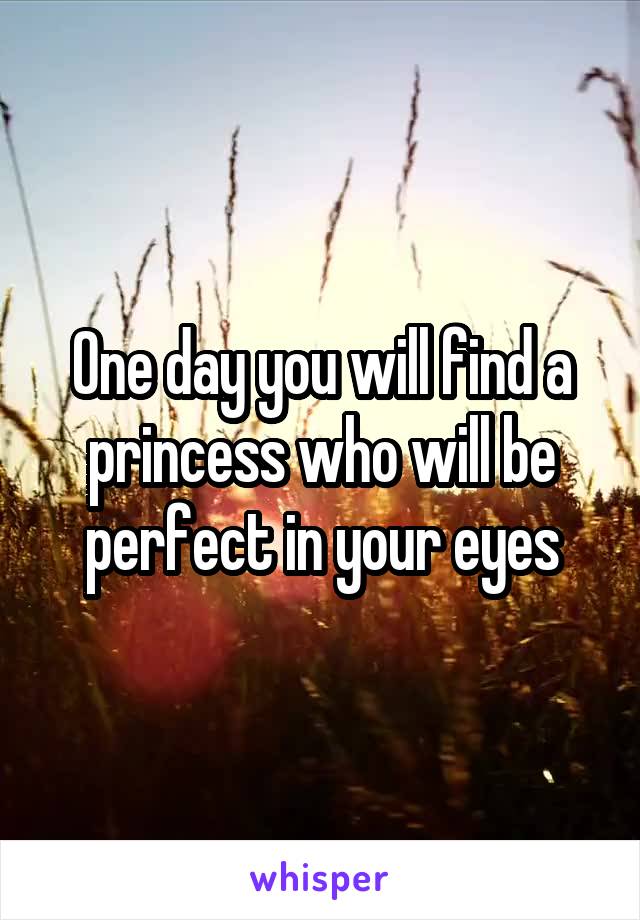 One day you will find a princess who will be perfect in your eyes