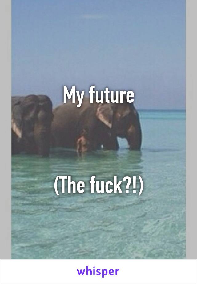 My future



(The fuck?!)