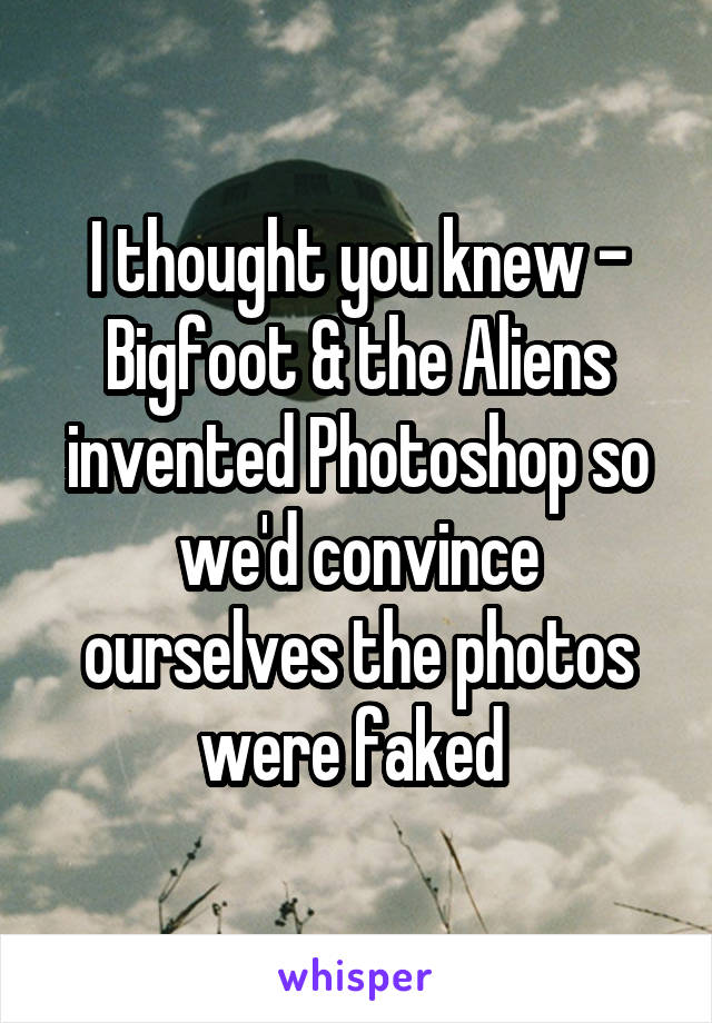 I thought you knew - Bigfoot & the Aliens invented Photoshop so we'd convince ourselves the photos were faked 