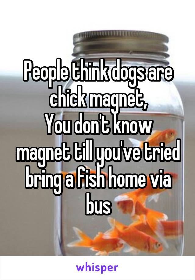 People think dogs are chick magnet,
You don't know magnet till you've tried bring a fish home via bus