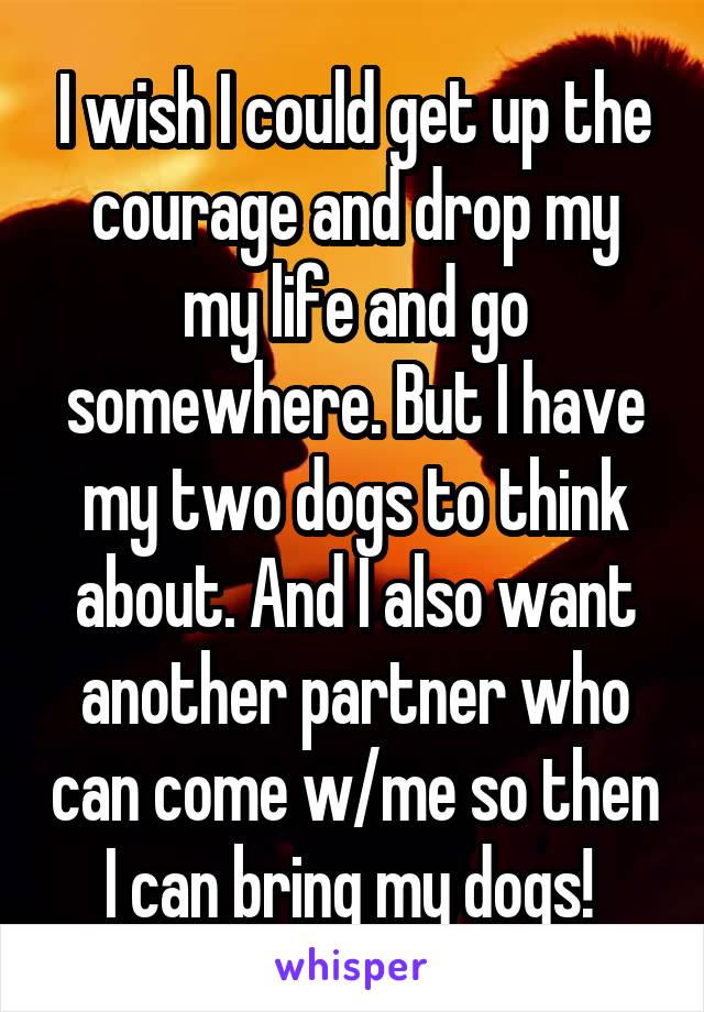I wish I could get up the courage and drop my my life and go somewhere. But I have my two dogs to think about. And I also want another partner who can come w/me so then I can bring my dogs! 