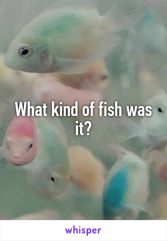 What kind of fish was it?