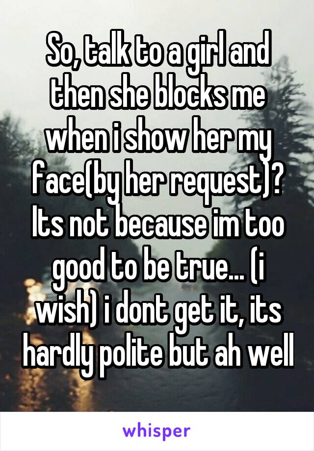 So, talk to a girl and then she blocks me when i show her my face(by her request)? Its not because im too good to be true... (i wish) i dont get it, its hardly polite but ah well 
