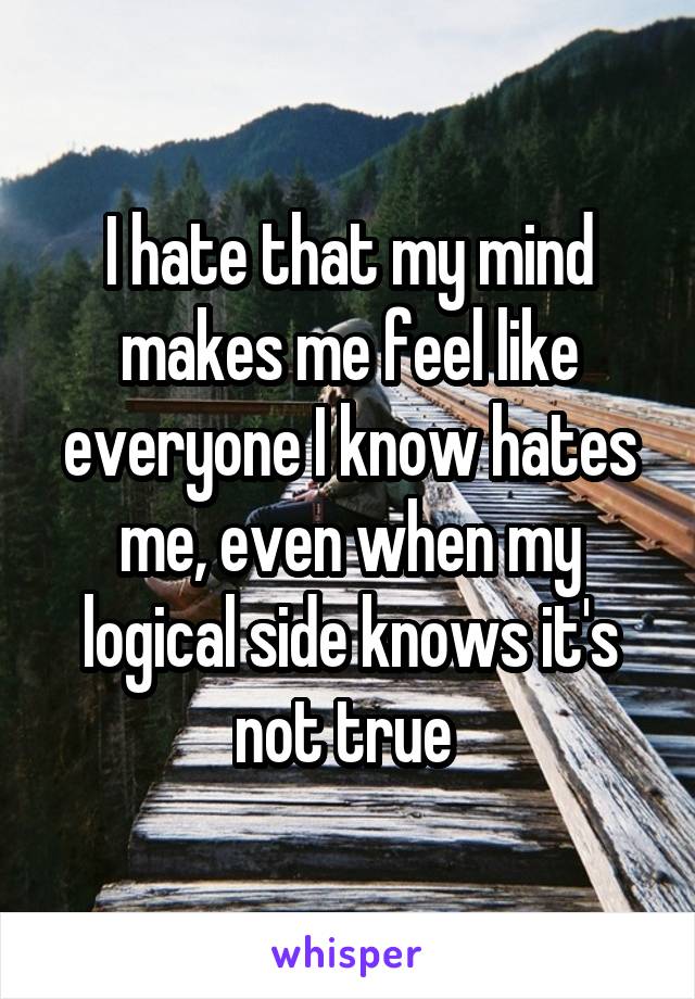 I hate that my mind makes me feel like everyone I know hates me, even when my logical side knows it's not true 