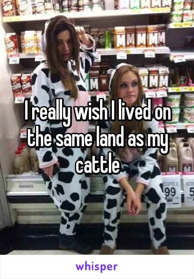 I really wish I lived on the same land as my cattle