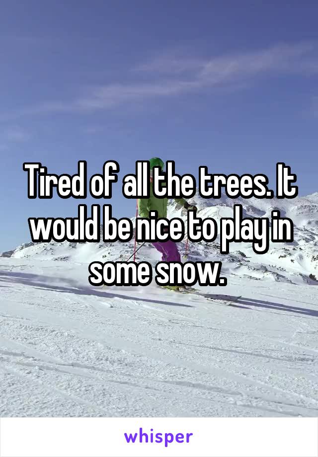 Tired of all the trees. It would be nice to play in some snow. 