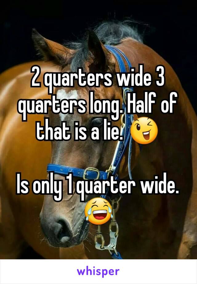 2 quarters wide 3 quarters long. Half of that is a lie. 😉

Is only 1 quarter wide. 😂