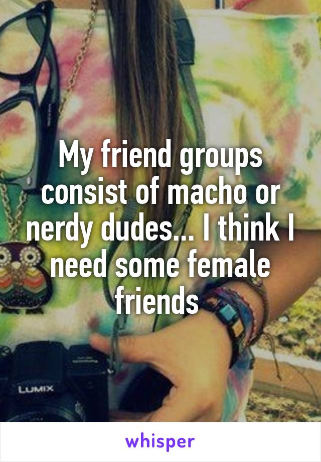 My friend groups consist of macho or nerdy dudes... I think I need some female friends 