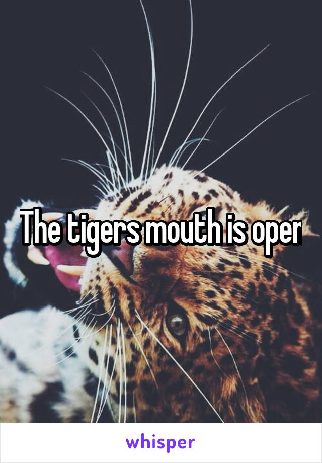 The tigers mouth is open