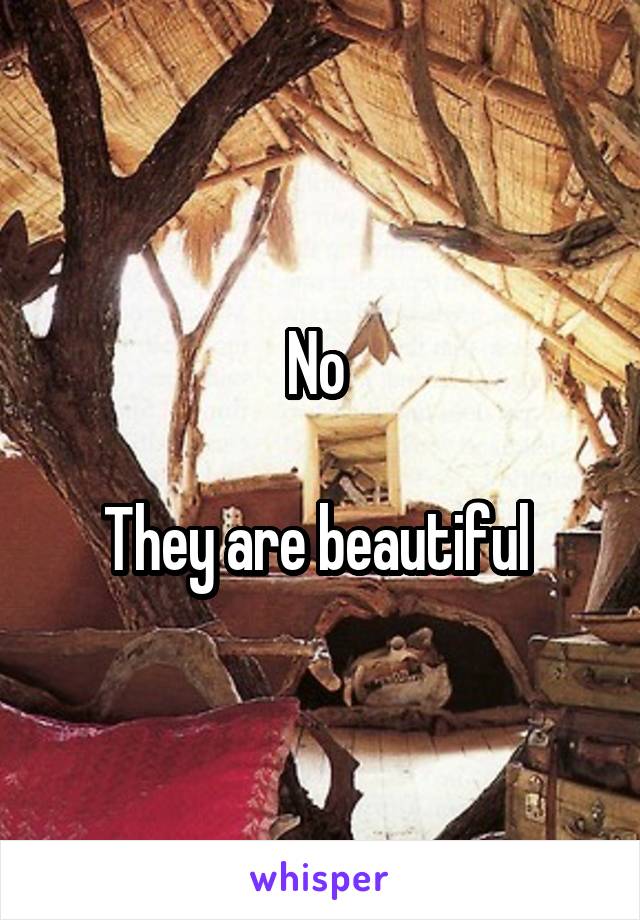 No 

They are beautiful 
