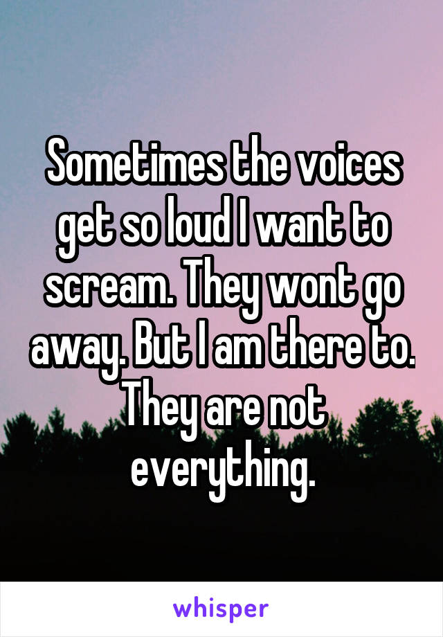 Sometimes the voices get so loud I want to scream. They wont go away. But I am there to. They are not everything.