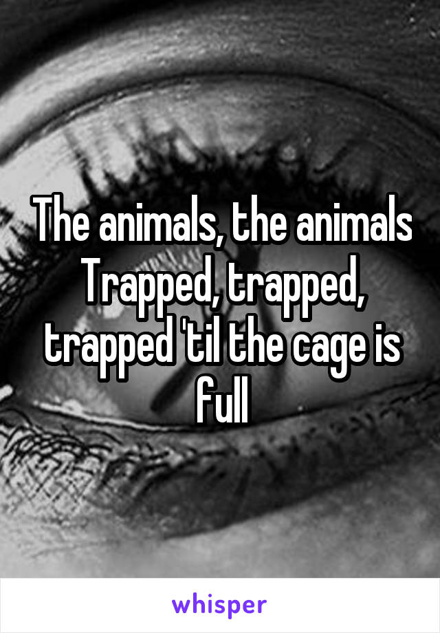 The animals, the animals
Trapped, trapped, trapped 'til the cage is full