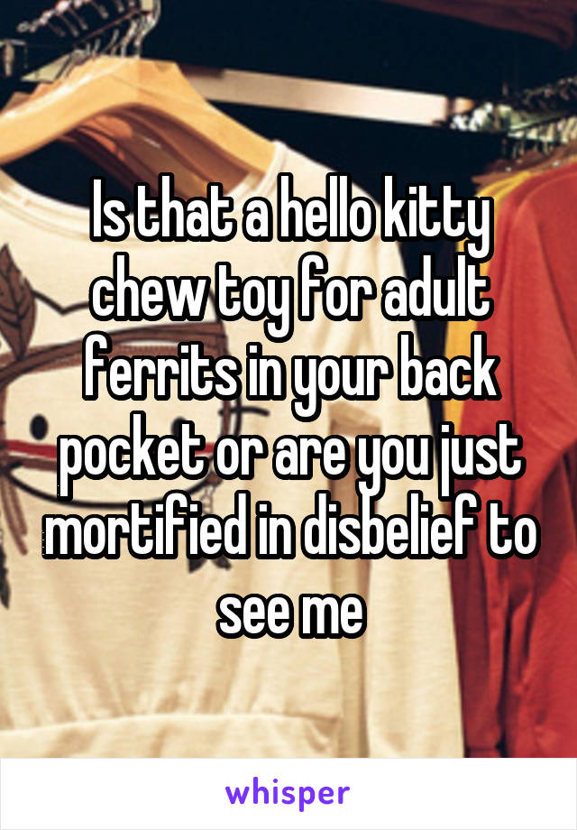 Is that a hello kitty chew toy for adult ferrits in your back pocket or are you just mortified in disbelief to see me