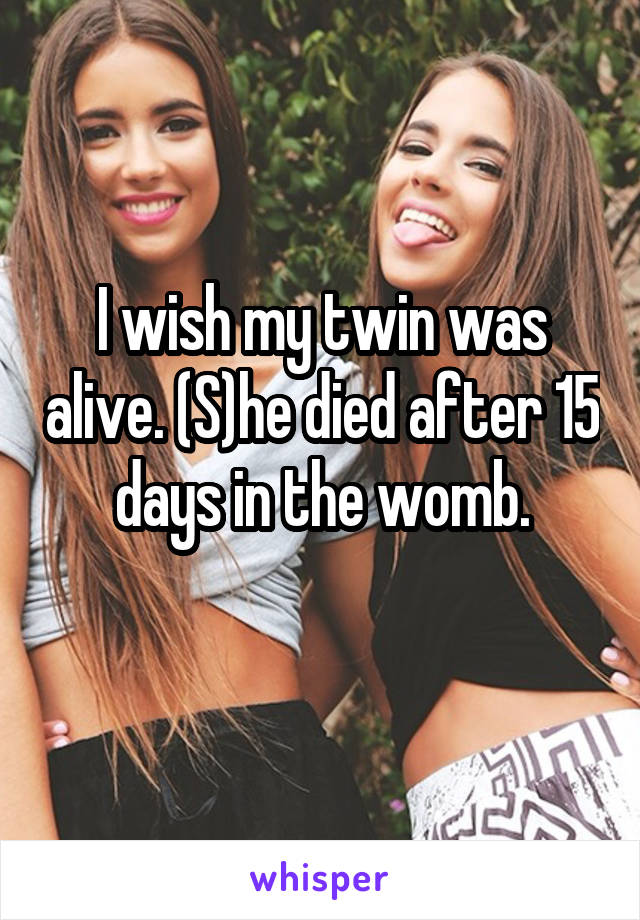 I wish my twin was alive. (S)he died after 15 days in the womb.
