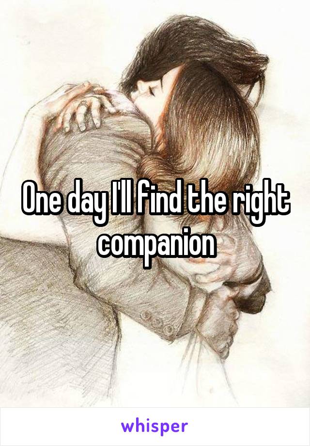 One day I'll find the right companion