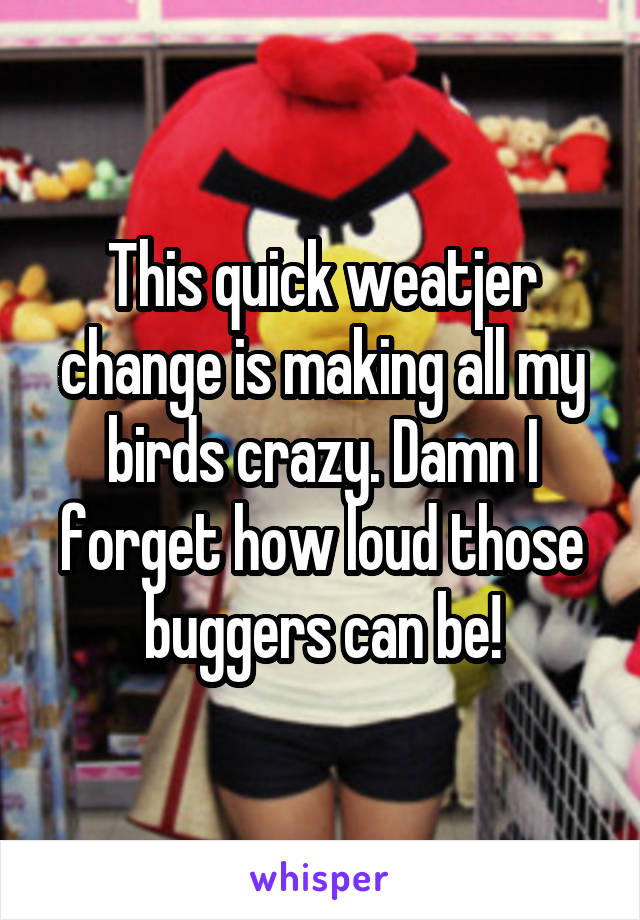 This quick weatjer change is making all my birds crazy. Damn I forget how loud those buggers can be!