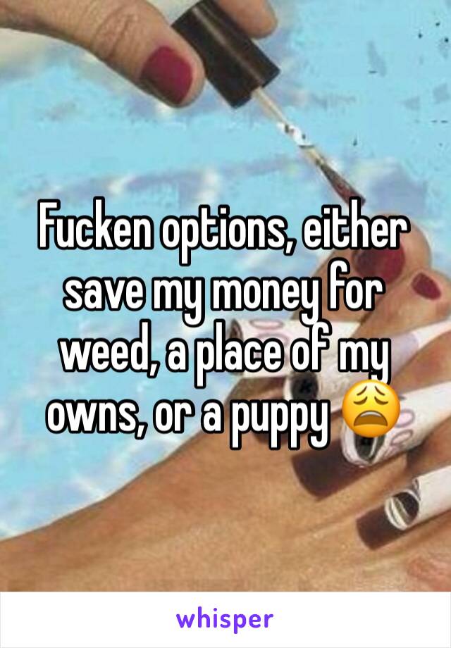 Fucken options, either save my money for weed, a place of my owns, or a puppy 😩
