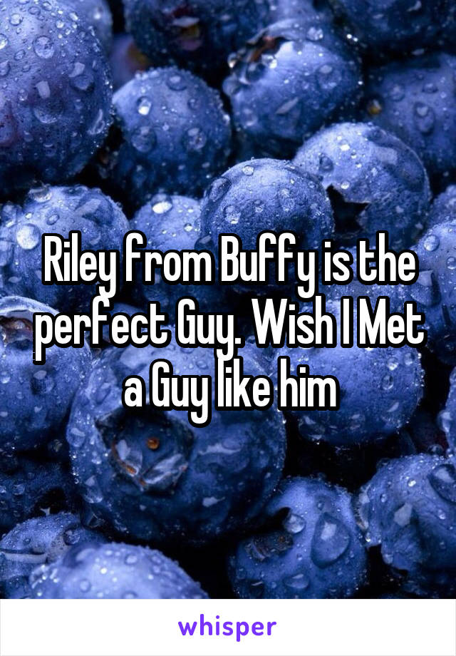 Riley from Buffy is the perfect Guy. Wish I Met a Guy like him