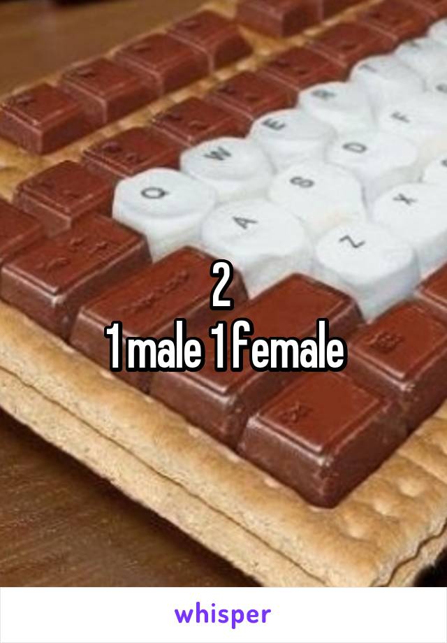 2 
1 male 1 female