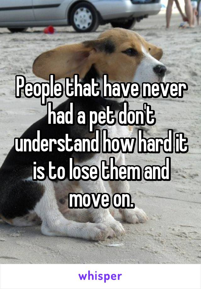 People that have never had a pet don't understand how hard it is to lose them and move on.
