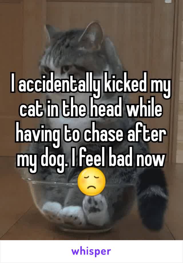I accidentally kicked my cat in the head while having to chase after my dog. I feel bad now 😞