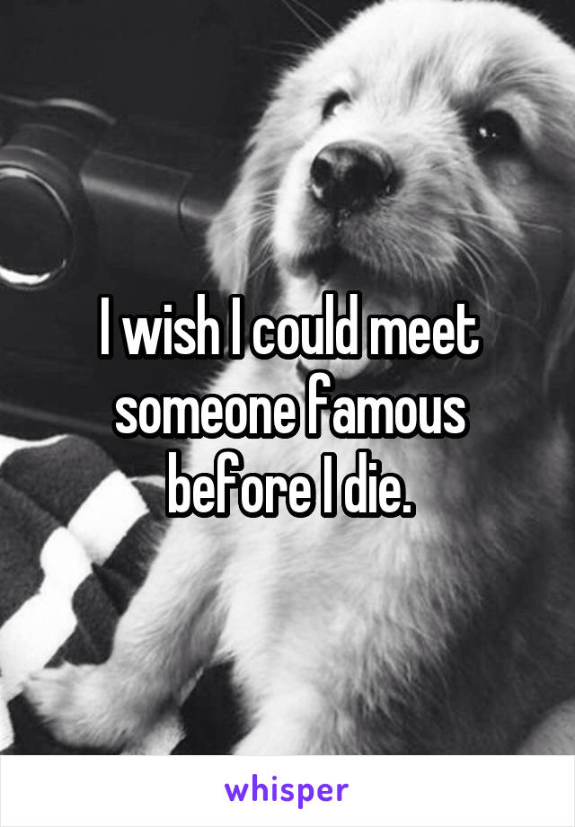 I wish I could meet someone famous before I die.
