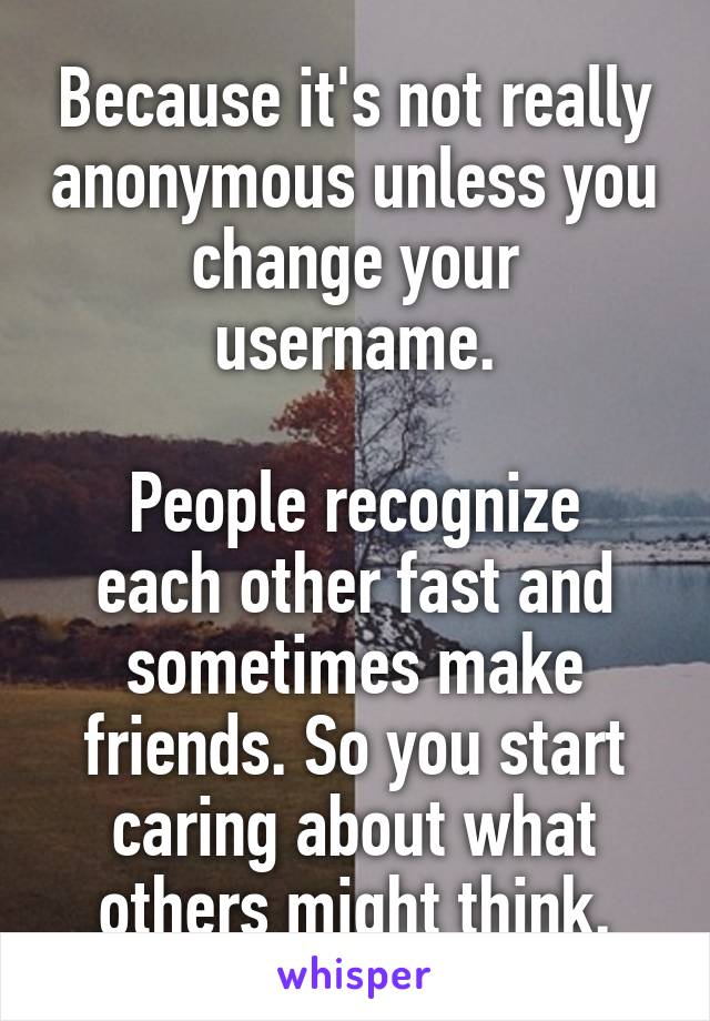 Because it's not really anonymous unless you change your username.

People recognize each other fast and sometimes make friends. So you start caring about what others might think.