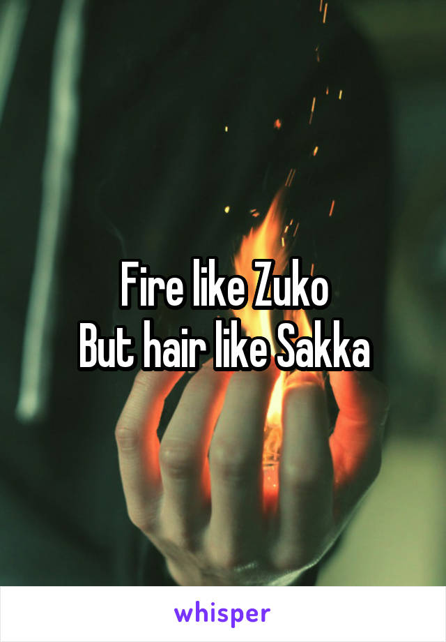 Fire like Zuko
But hair like Sakka