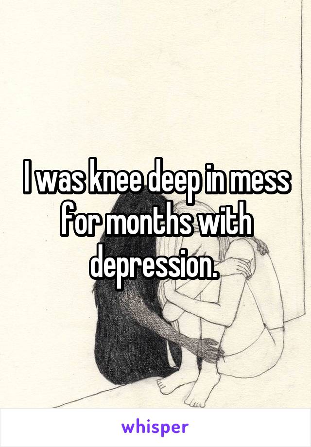 I was knee deep in mess for months with depression. 