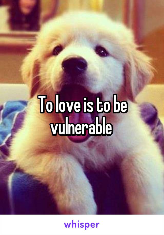 To love is to be vulnerable 