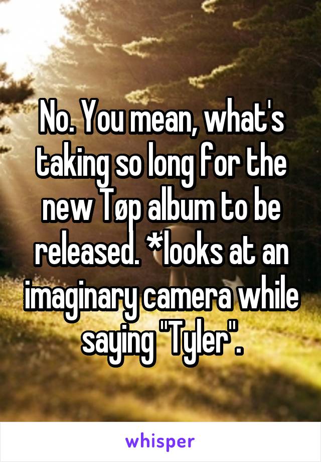 No. You mean, what's taking so long for the new Tøp album to be released. *looks at an imaginary camera while saying "Tyler".
