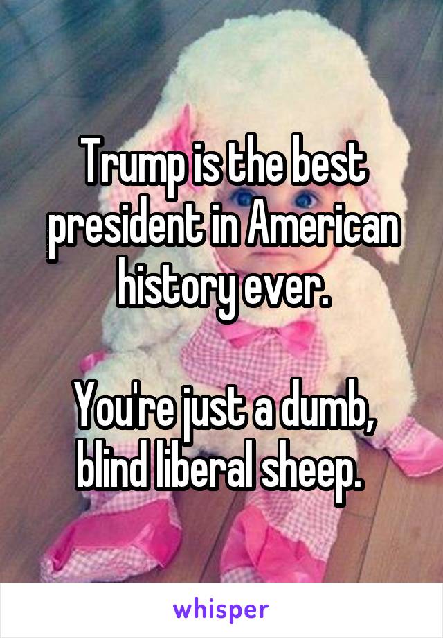 Trump is the best president in American history ever.

You're just a dumb, blind liberal sheep. 