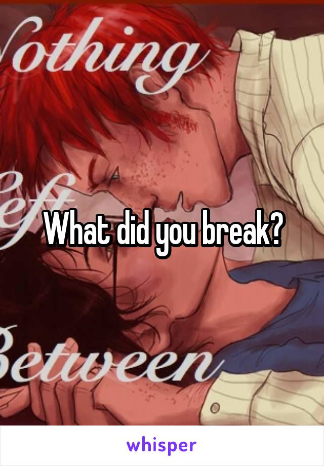 What did you break?