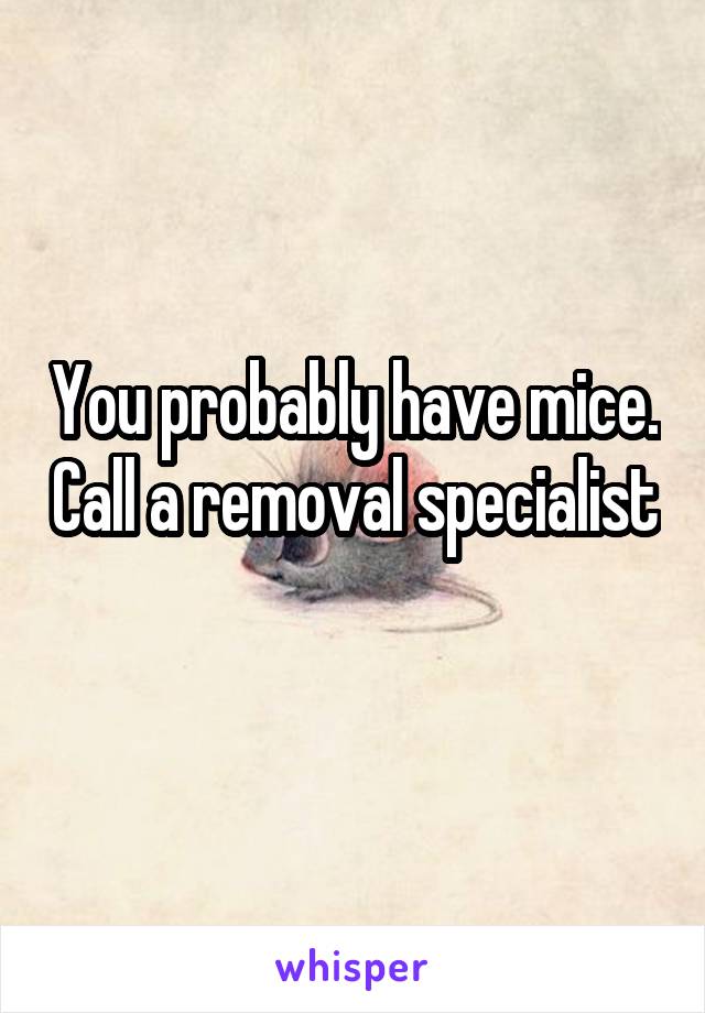 You probably have mice. Call a removal specialist 