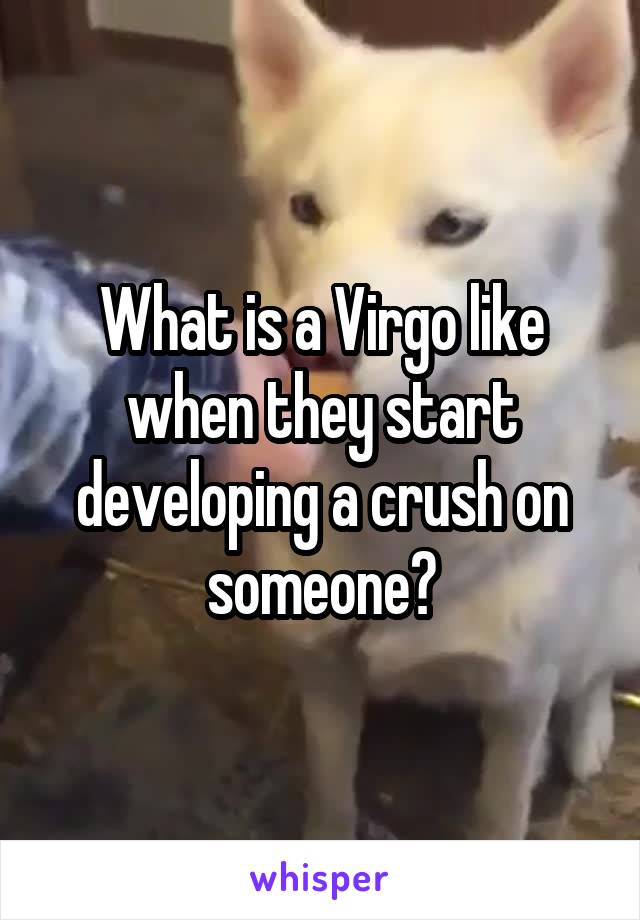 What is a Virgo like when they start developing a crush on someone?