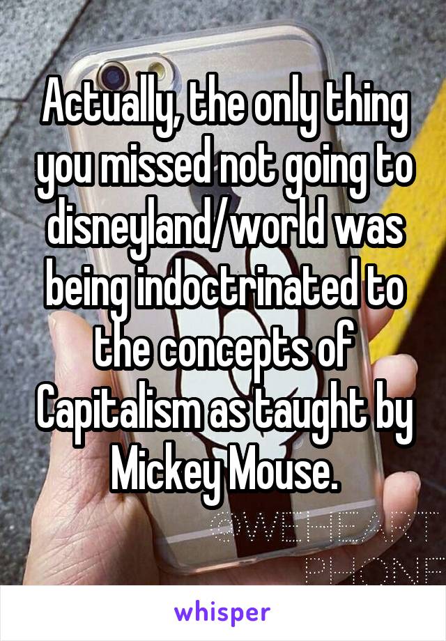 Actually, the only thing you missed not going to disneyland/world was being indoctrinated to the concepts of Capitalism as taught by Mickey Mouse.
