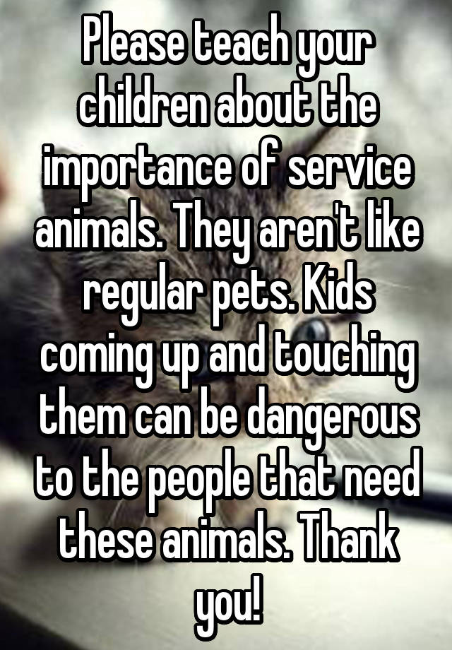 please-teach-your-children-about-the-importance-of-service-animals