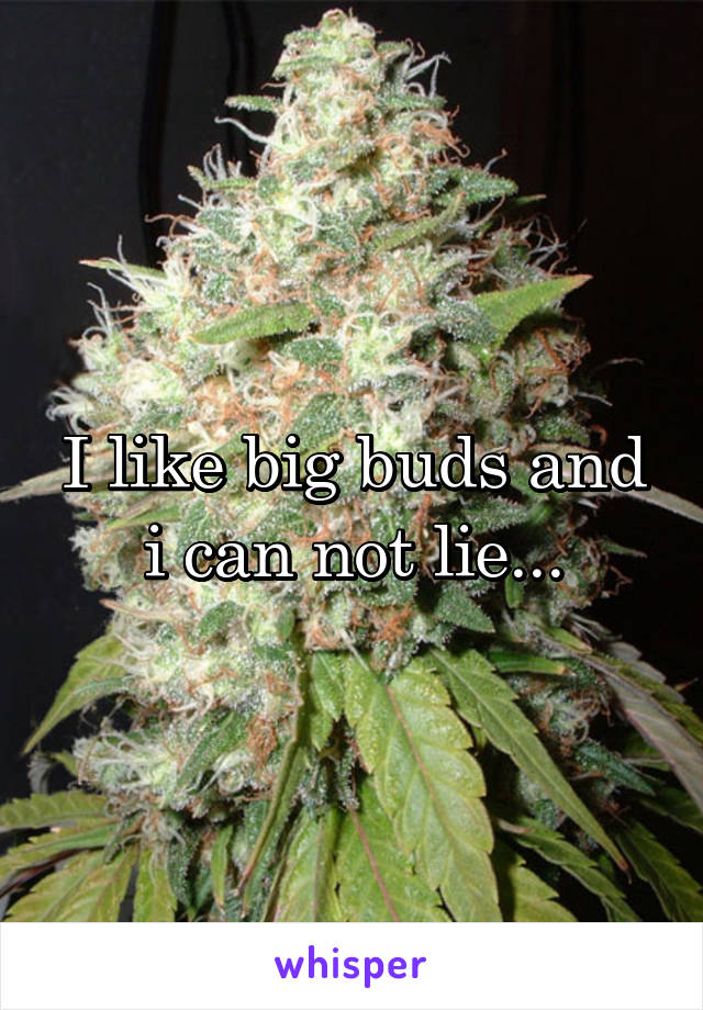 I like big buds and i can not lie...