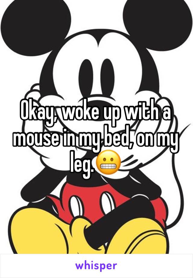 Okay, woke up with a mouse in my bed, on my leg.😬