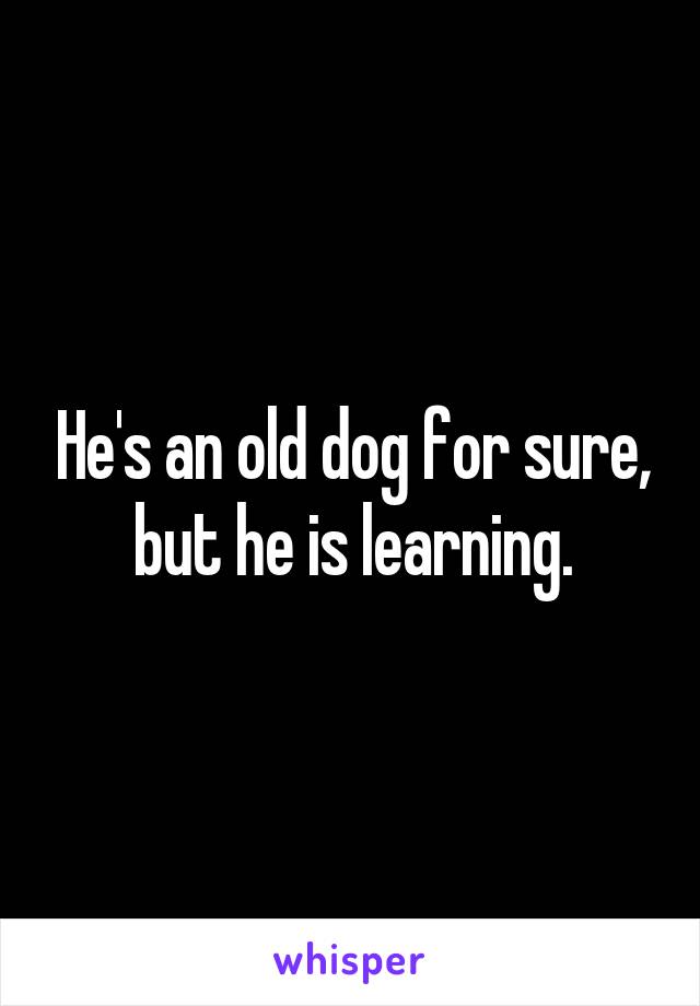 He's an old dog for sure, but he is learning.