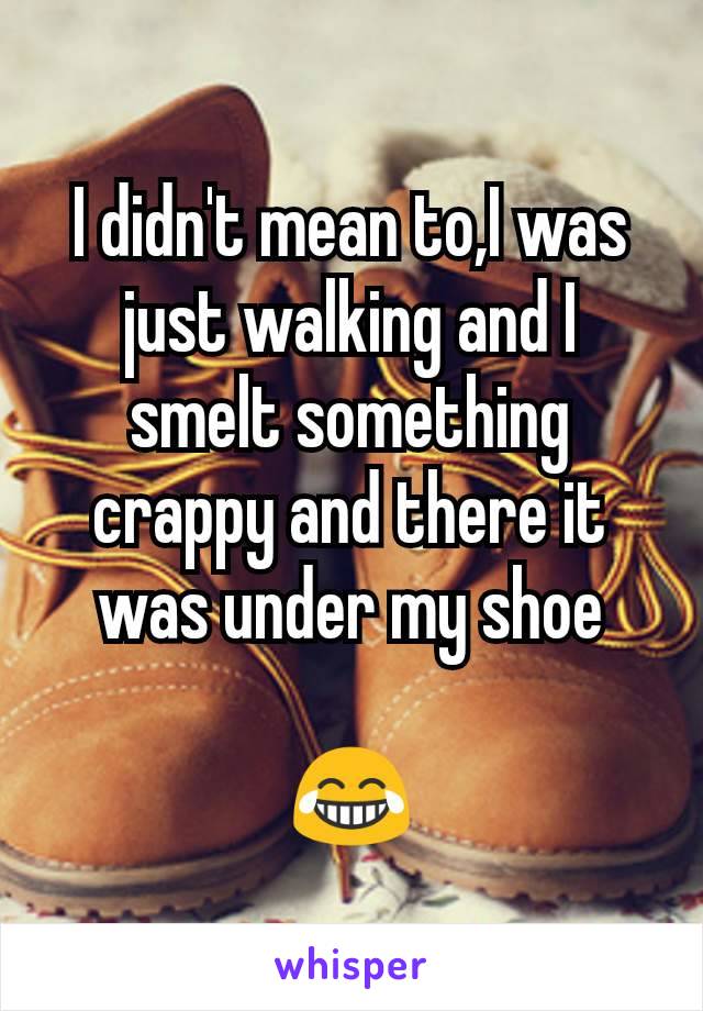 I didn't mean to,I was just walking and I smelt something crappy and there it was under my shoe

😂