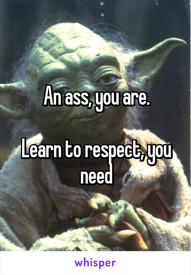 An ass, you are.

Learn to respect, you need