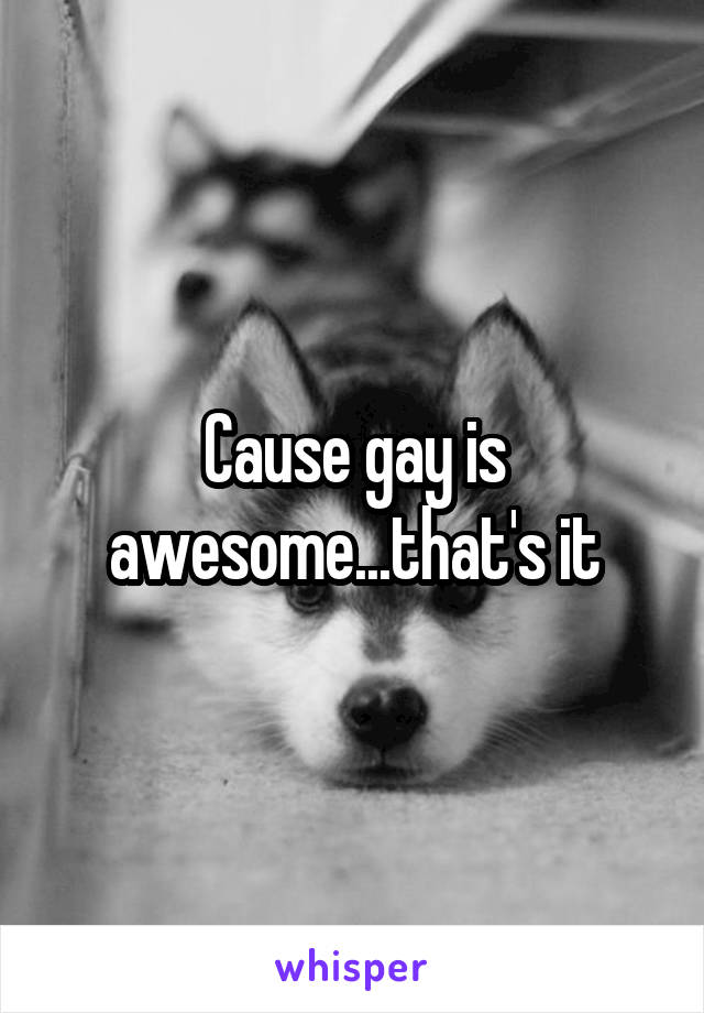 Cause gay is awesome...that's it