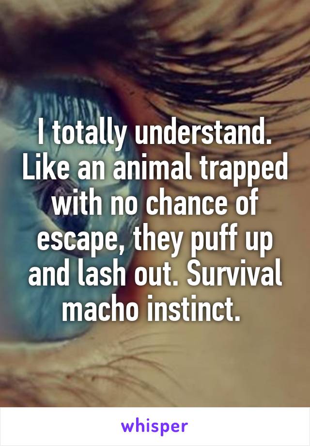 I totally understand. Like an animal trapped with no chance of escape, they puff up and lash out. Survival macho instinct. 